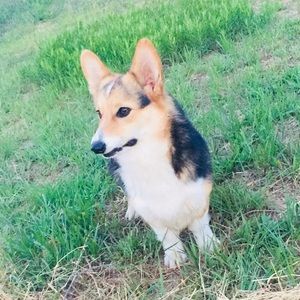 Meet your Posher, Liberty